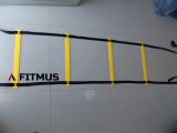 Speed Agility Ladder