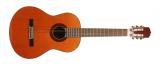 CW series high grade acoustic guitar CW39-124