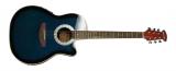 Best musical instrument acoustic guitar for sale SW41-419CE